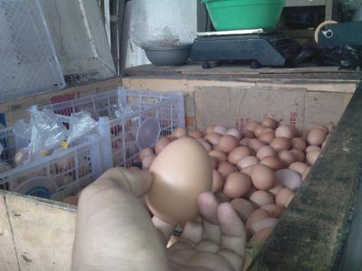 Menjual sembako dan kebutuhan rumah tangga. Grosir & Eceran. Jl.Pahlawan no.24 Majalengka . 085 220 73 9000