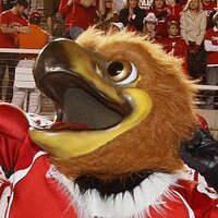 Swoop (@swoophawk) 's Twitter Profile