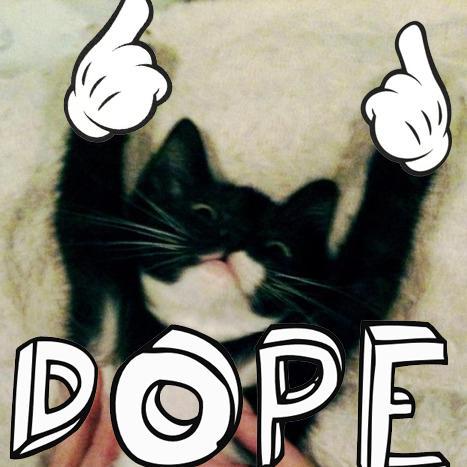 all my shit dope