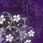 CGBee13's profile image