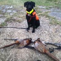 John Manley (@fireman1049) 's Twitter Profile