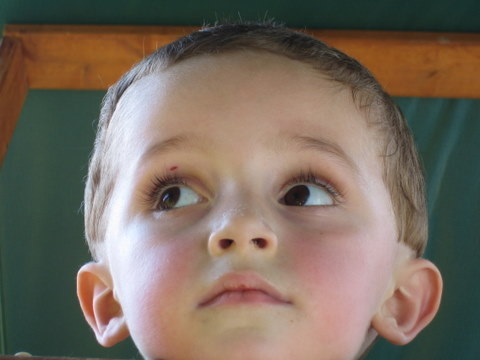 futilities's profile picture. 