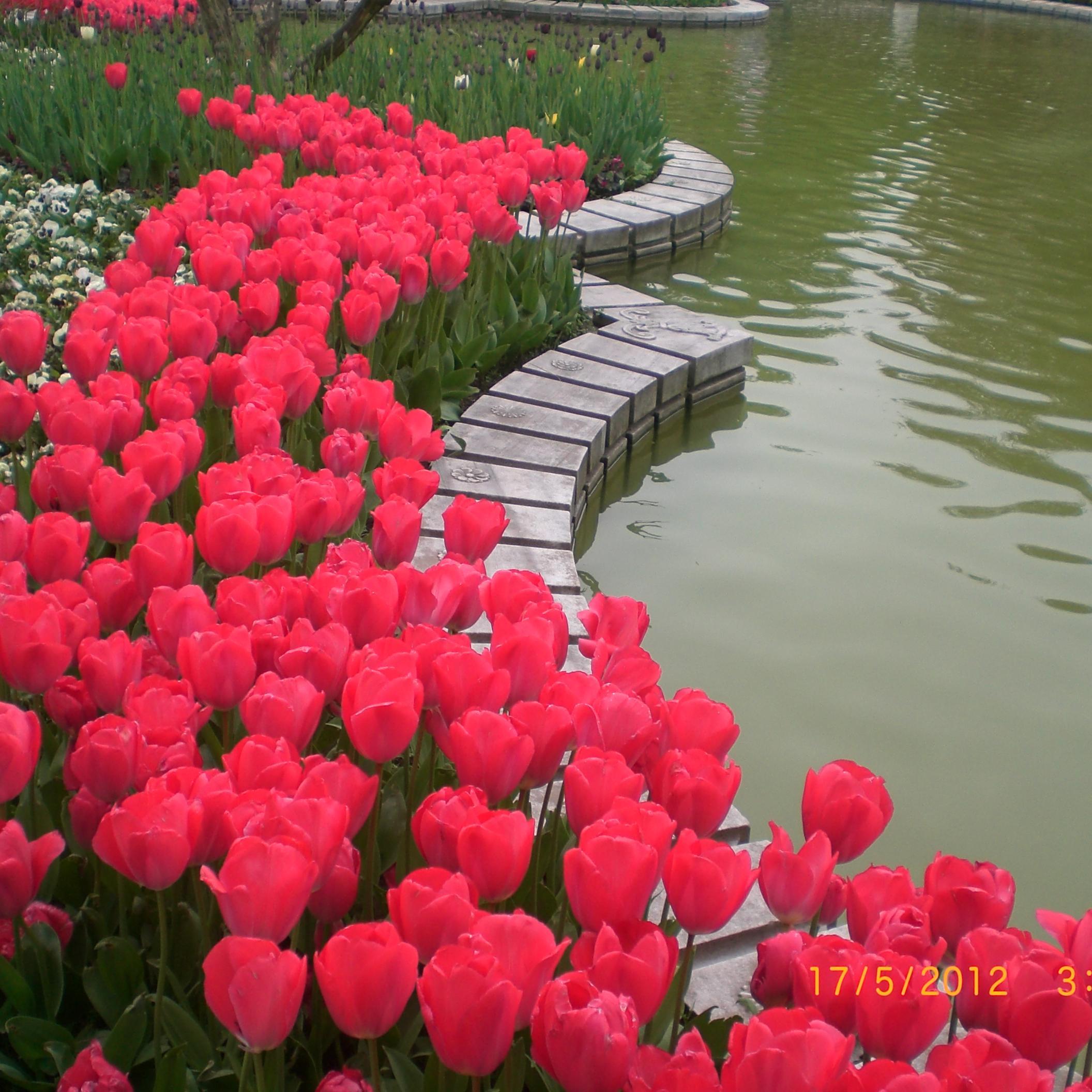 tipss_sehat's profile picture. Sehat itu adalah segalanya #DuniaIbu