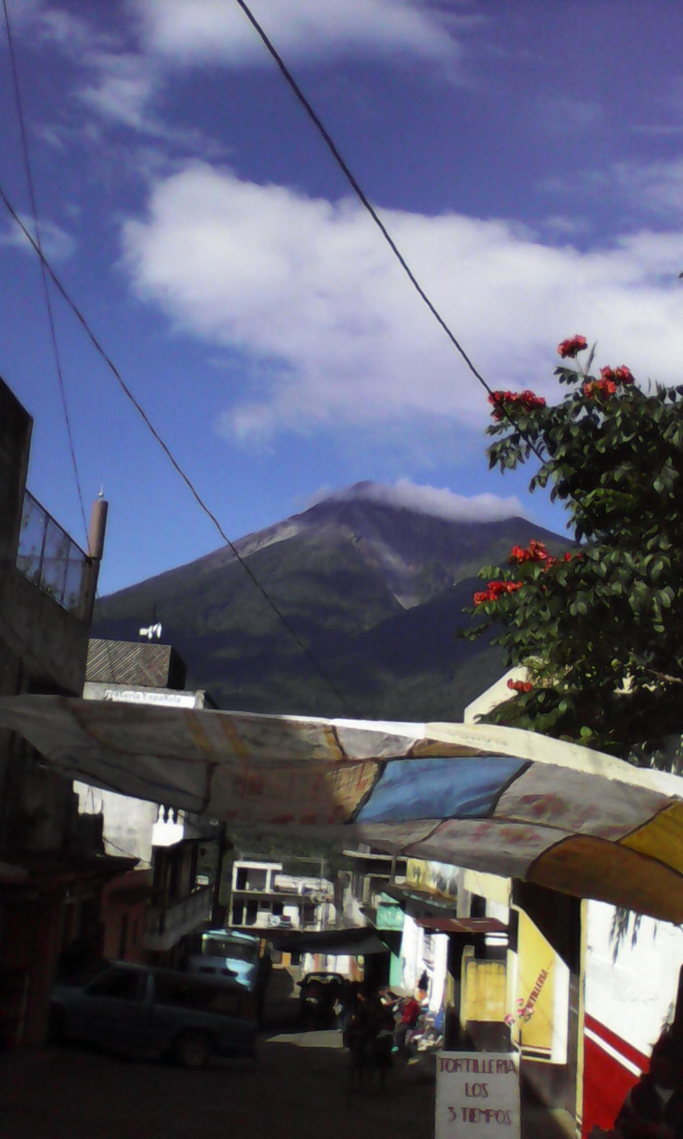 irwindanielgome's profile picture. 