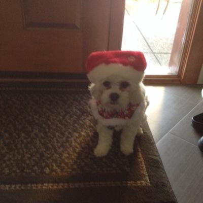 vieites2's profile picture. welcome to the twitter of Anthony Vieites