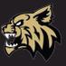 Blacksburg Basketball Alum (@wildcatnationss) Twitter profile photo