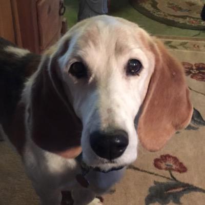 #RB NOW. Married to @foreverginger who IS da bestest wife ever! (RB 11/16/11) I joined her furrever on 2-28-15. My sisifur is @MaddyBasset. Mom is @lisbethwest