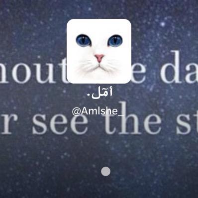 لعل هذا الحساب يكون شفيعاً لها @amlshe_ يوم القيامه .
