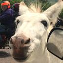 Jump Ship - @kim_koss - Twitter