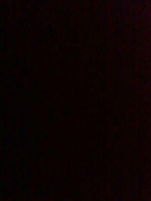 BDegolier's profile picture. 