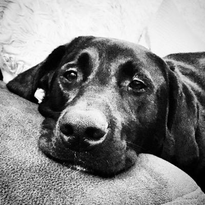 OConnor_Z's profile picture. ...