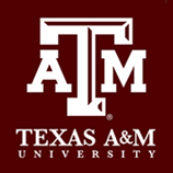 Information and insight from the Texas A&M University webmasters