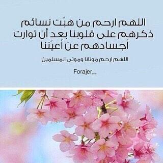 سبحان الله -سبحان الله وبحمد- ربي ارحم من فقدت فقيدة قلبي زكـــيــة وجدتي هيـــاءواجعل قبورهم روضة من رياض الجنة والمسلمين آجمعين..حسابي الوحيد📍