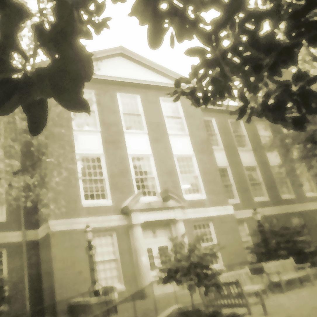 Wake Forest University Department of English