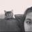 JaclynEllwein's profile image