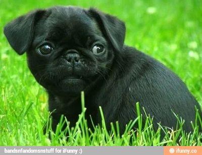 merlinxxx71's profile picture. 