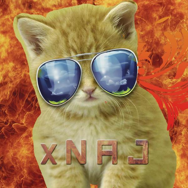 Im 14 and Im a gamer, I play COD and Im a sniper. NAJ are my initials.