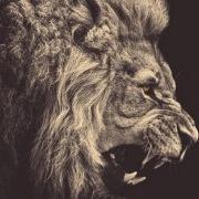 iiConspiracyy's profile picture. 