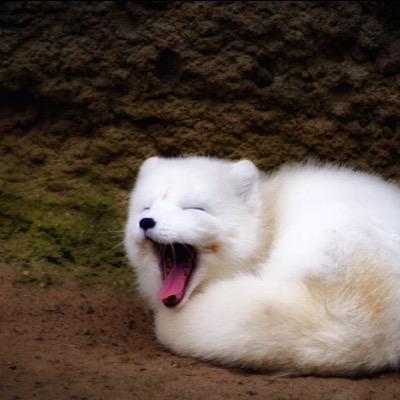 Pmllsomm's profile picture. 