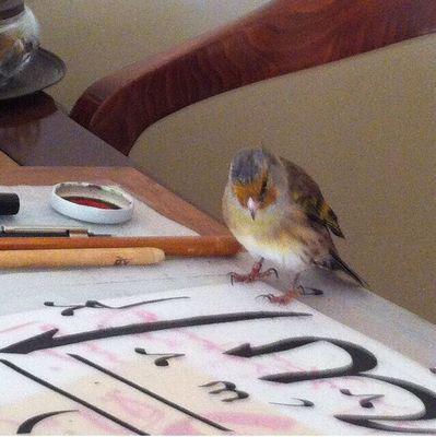 بسم الله