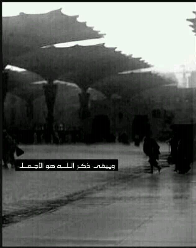 3ssddd's profile picture. 