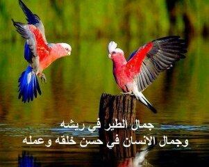 KaremKader's profile picture. ‏موظف حكومي في بغداد تولد 1981