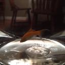 Edwin Lowe - @edwinthesavage - Twitter