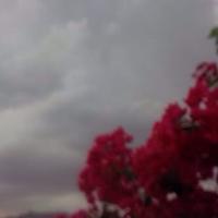 .... (@ha__04) 's Twitter Profile Photo