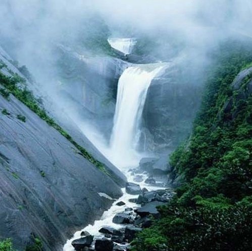 homylafayette's profile picture. 