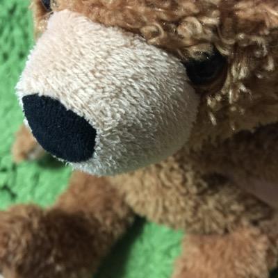 テレビや新聞では知ることができない。いま起きている大変なこと、大事なこと。主に情報収集です。そして、何はなくとも必ず選挙に行こう。脱原発に一票