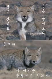 대구 30대 섹스를 좋아하는 흔남 즐기면서 섹스하자