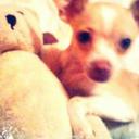 Eli Jaeger - @2013Jaeger - Twitter