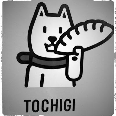 utsunomiya_in's profile picture. ケータイ激安情報配信！特になんでも激安が好き！！ #宇都宮 #インターパーク #iPhone #激安 #キャッシュバック