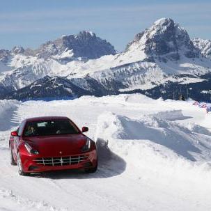 TimeFreedomNow1's profile picture. 