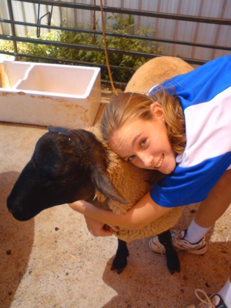 Im Hayley but better known as Hailz. I have 4 horses Tom Bob Cassie & Quinn. I go to Rochedale High I love horses Im 14yrs old On horse I play polocrosse, event