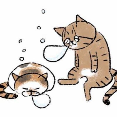 にくＱさんのプロフィール画像
