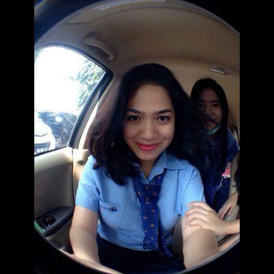 line: Rachelliia