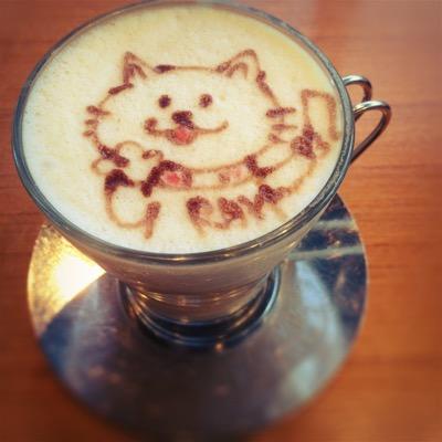 BUMP_1213's profile picture. BUMPが好きすぎて切ない人*彼らの音楽に出逢えて幸せ*見つけるまで音楽やっててくれてありがとうありがとうじゃ足りないけどありがとう。そしてBUMPと同じ時代に生きて、BUMPが解る自分で良かった。明日もきっと生きているよ、誰にも関係ないままで