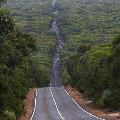 lucabuzzi123's profile picture. 