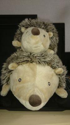 kouki_ecap's profile picture. たまにしかつぶやきません。