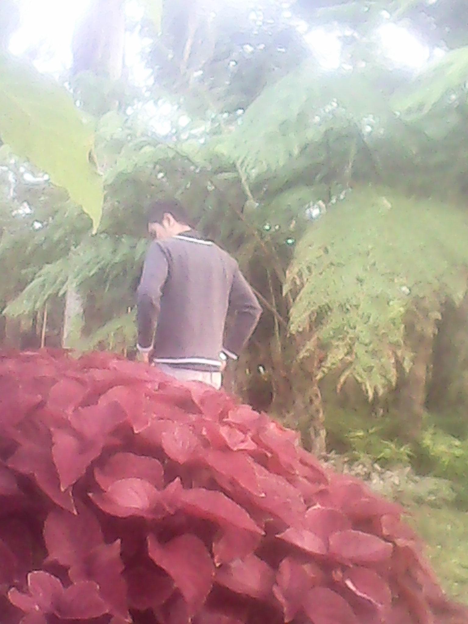 FardyxFT's profile picture. Salam Lestari