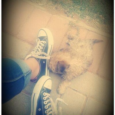 follow me...mxahhh