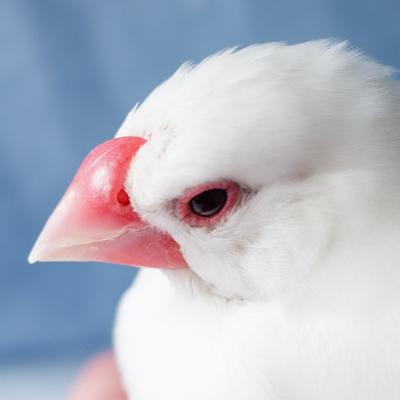 ゆ㌠のプロフィール写真