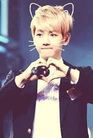 ชอบวงexo