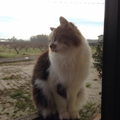 harukiku0410's profile picture. 好きなものは、カフェめぐり、益田ミリさんの本、フリッパーズギター、洗濯、芝居や映画鑑賞、堺雅人さん、妻夫木聡さん、大沢たかおさん、たまにCKBライブ行きます。ヨロシクです＼(^o^)／ 福島県生まれ。元ナース、現在は
看護と介護のアドバイザーしてます。
最近はセカイノオワリにめちゃハマってます。