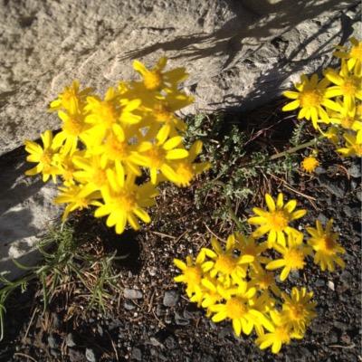 BeckyBskipper's profile picture. 