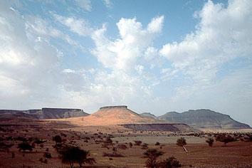 Aliwood88's profile picture. 