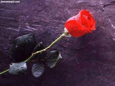 ‏‏‏
  baroom_a@