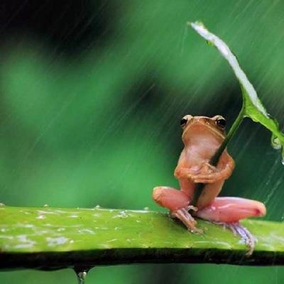 poplife877y1's profile picture. 27/フットサル/サッカー/Fリーグ/Jリーグ/ボルダリング/リカルジーニョ