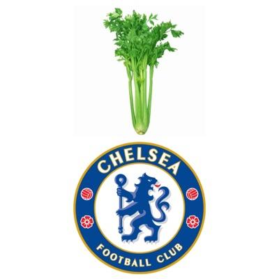 rainingcelery's profile picture. Celery!!! Celery!!! #CFC account. Transfer rumours, player stats & post-match analysis.